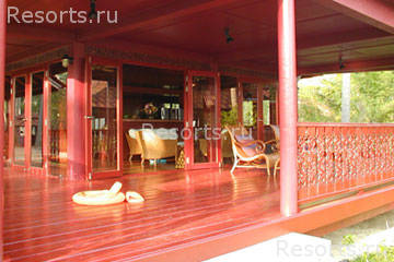 Coconut Paradise 48